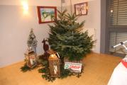 img_7816.jpg